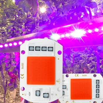 Светодиодный Светильник Для Выращивания Полного Спектра COB LED Chip AC 110V 220V Нет необходимости в драйвере Фито-Лампы Для Комнатных Растений, Светильник Для Выращивания Рассады